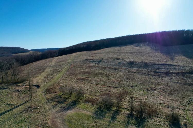 Mountain Rd., Fayette County - 138 acres