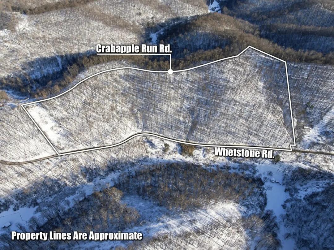 Whetstone Rd - 24 acres