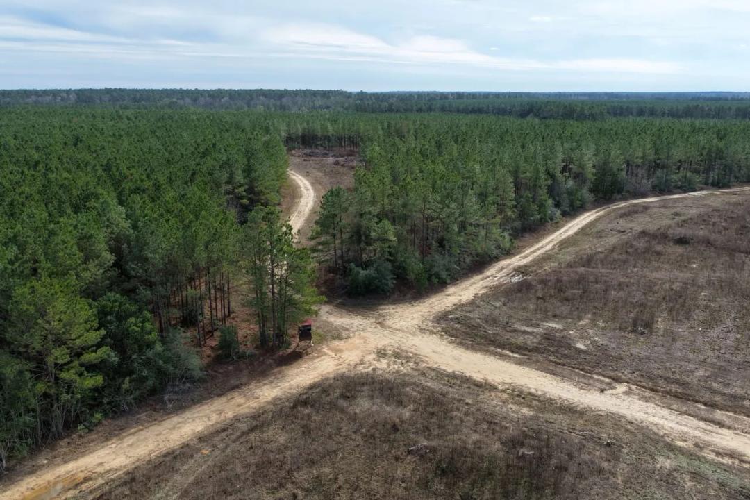 Polk County- 148+/- Acres