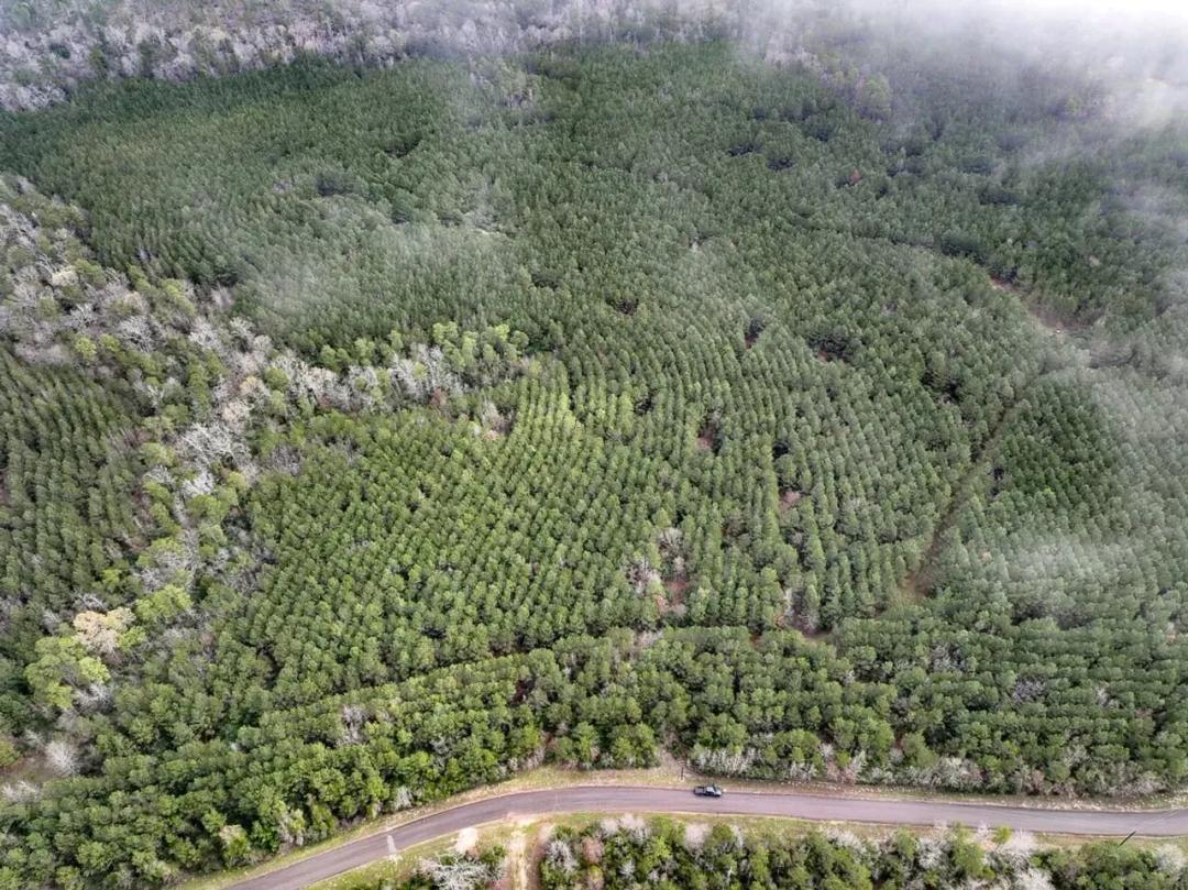 32 Acres | T-16 | CR 2140