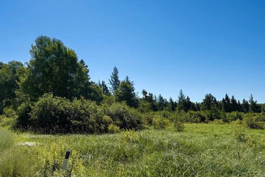 40 Acres Near St. Croix River | Douglas County Legacy Property
