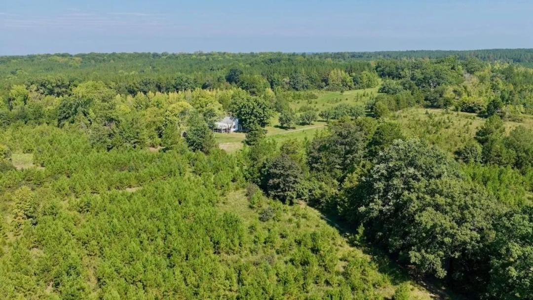 637 acres of Recreational and Timber land in Halifax County, VA!