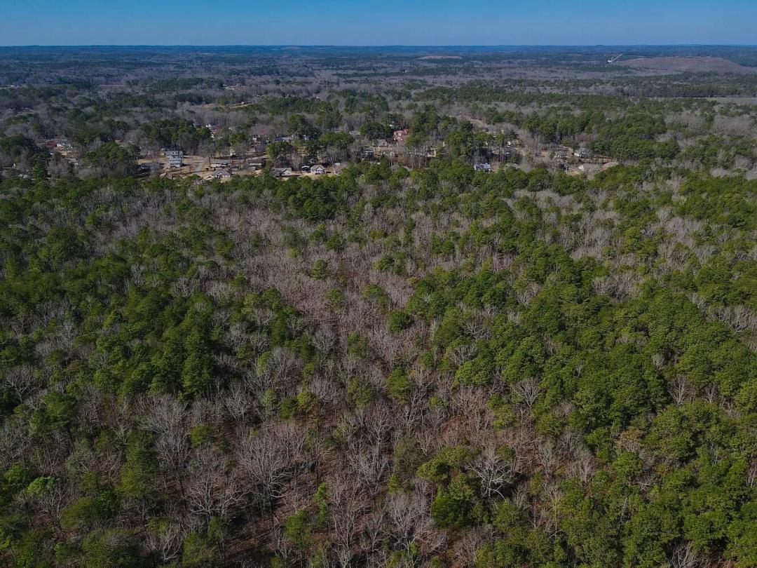 294.74 Acres at 0 Weaver Road