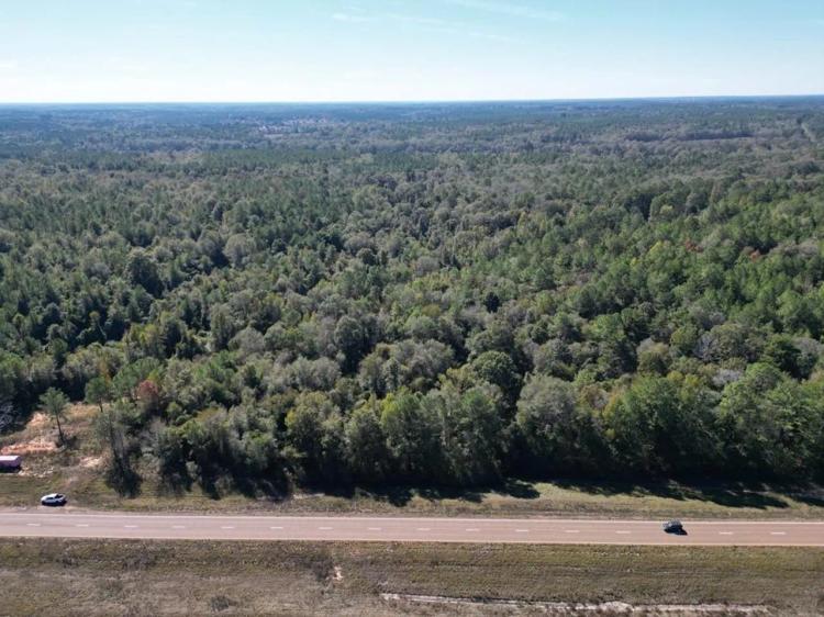 Great Timberland/Hunting Tract in Southwest Mississippi