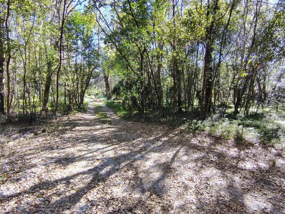Prime Rural Homesite