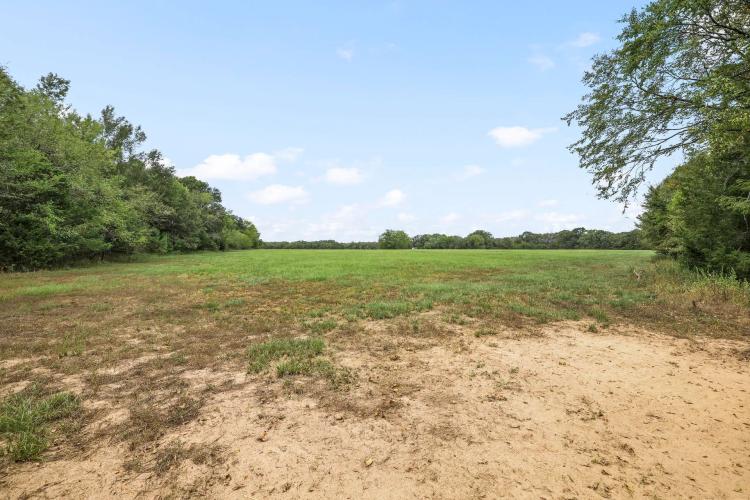 41 Acre Tract of Privacy