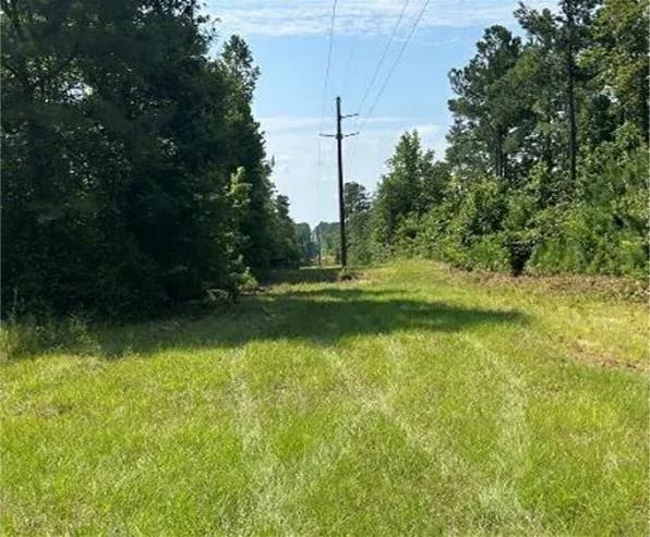 80 Acres in Newton County in Decatur, MS 