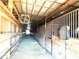 Stable East Wing - 17 stalls