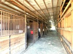 Stable East Wing 17 stalls II