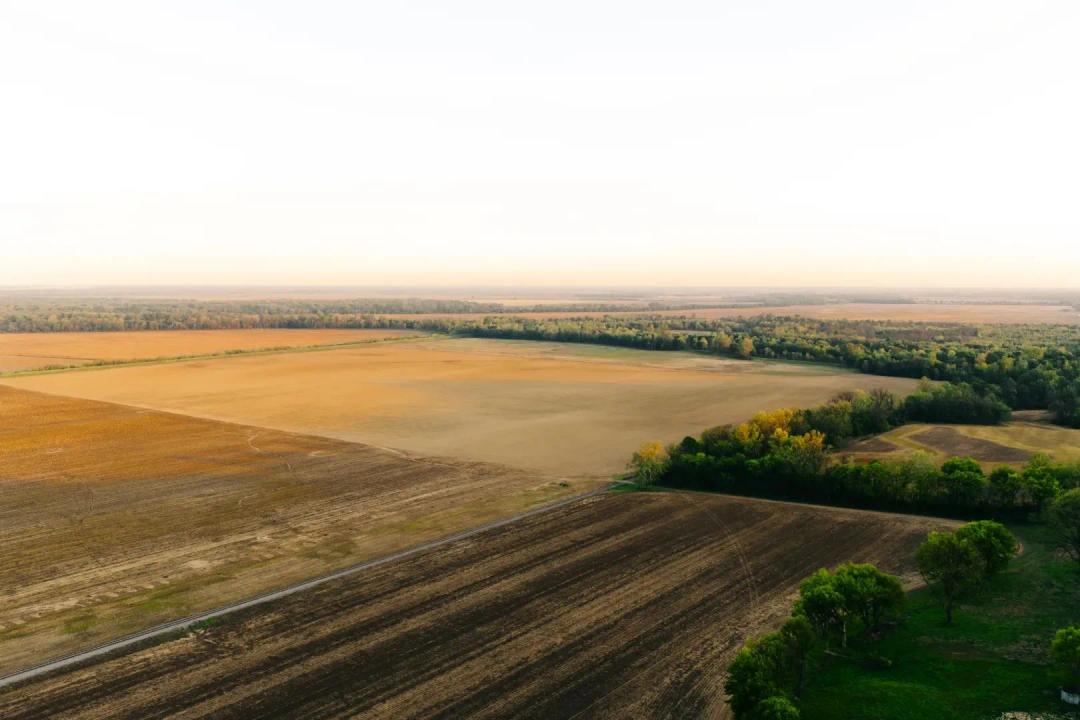 465 Acres in Dyer County, TN