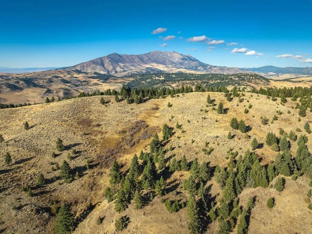 The Schmidt Ranch
