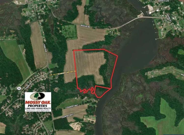 UNDER CONTRACT!!  47 Acres on Deep Water Tidal Waters in Isle of Wight County Virginia!