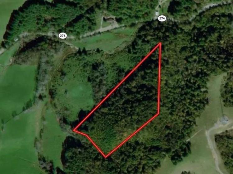 16.62 acres of Hunting and Recreational Land for Sale in Grayson County VA!