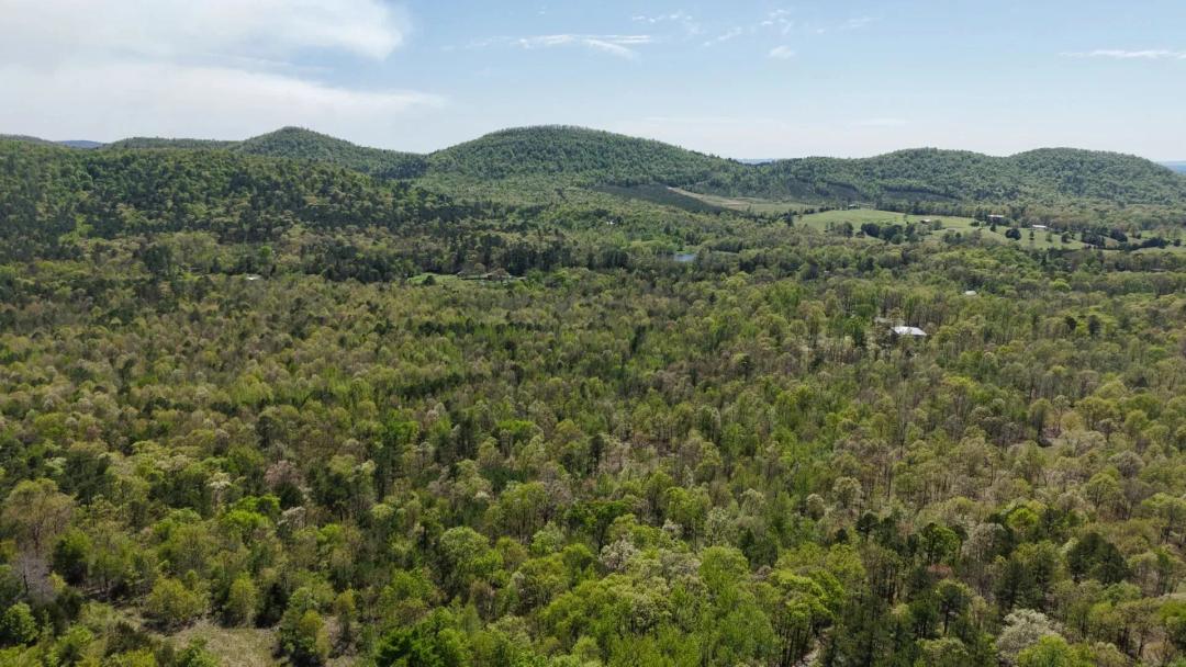6.67 Acres (Tract 8) in Polk County, AR