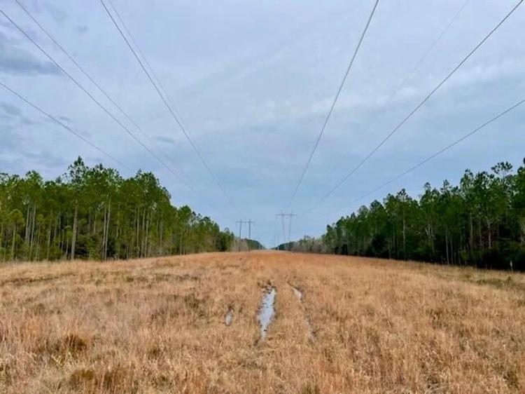 Mississippi Hunting Land For Sale Hancock County