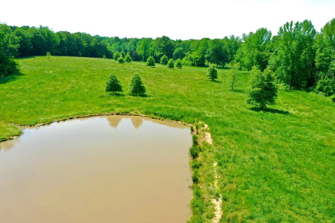 44 Acre Dream Property minutes from Paris, Tennessee