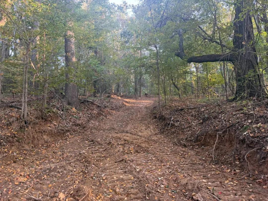 124.3 Acres in Yazoo County, MS
