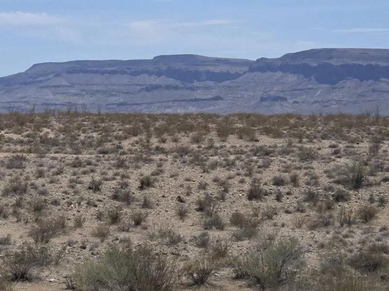 Arizona Desert vicinity of Kingman - Yucca - Bullhead city - 2 adjoining lots