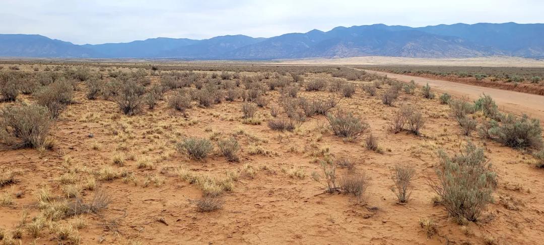 Rare 4 adjoining lots totaling 4 acres - Central New Mexico - Off Grid - No Restrictions