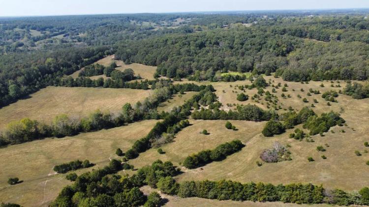 65 Acres in Laclede County Missouri!
