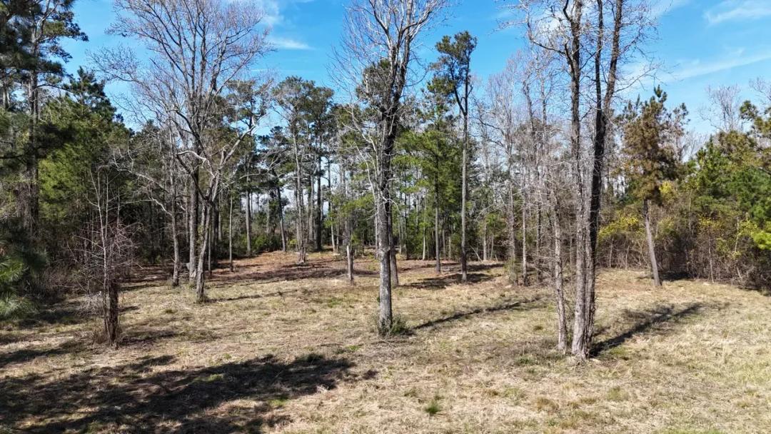 Waterfront Lot for Sale, Beaufort NC