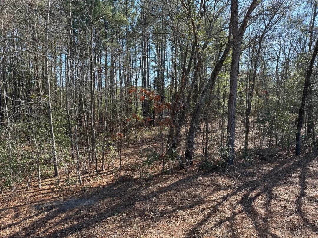 2.70 Acres at 1230 0 Buies Mill Rd