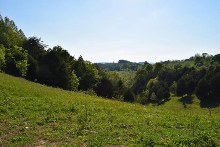 VACANT LAND FOR SALE IN EAST TENNESSEE/ CLAIBORNE COUNTY