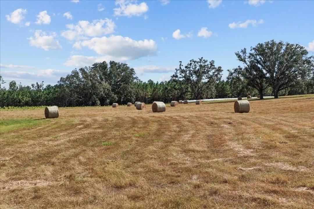 126.45 Acres of Rolling North Florida Beauty – Hay Fields, Timber & Ponds!