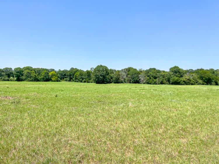 32 Acres | T-17 | County Road 3630