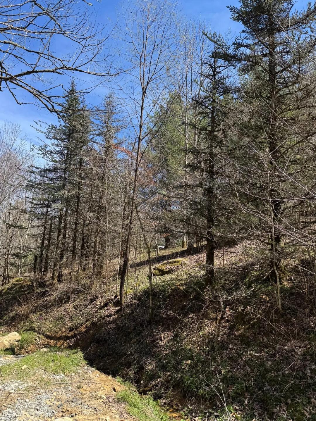 Vacant land near Banner Elk