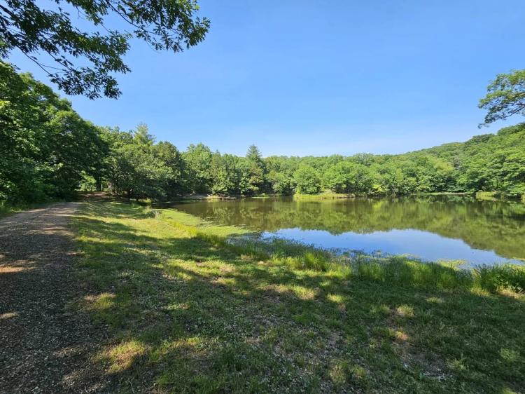 **Premier Hunting/Fishing Acreage in Henry County**