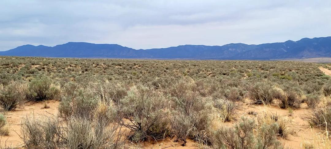 South of Albuquerque - Near Belen & Los Lunas - 3/4 acre