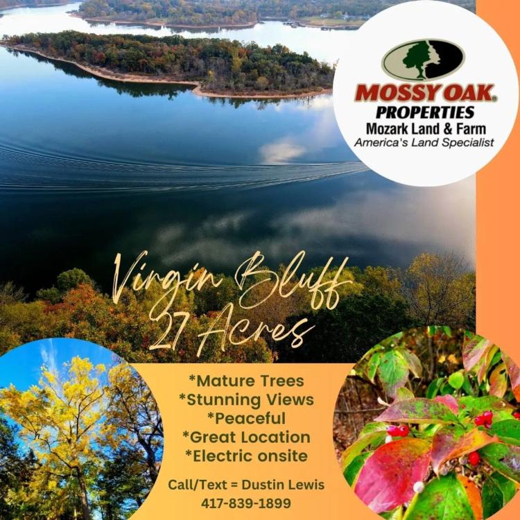 Virgin Bluff Lake Property