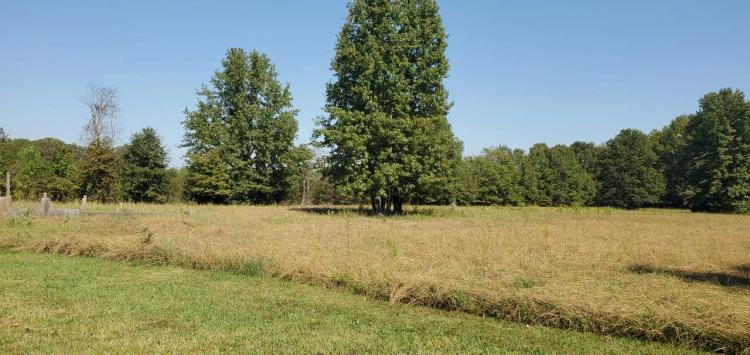 Rural Land - Grass and Trees 3+- Acres