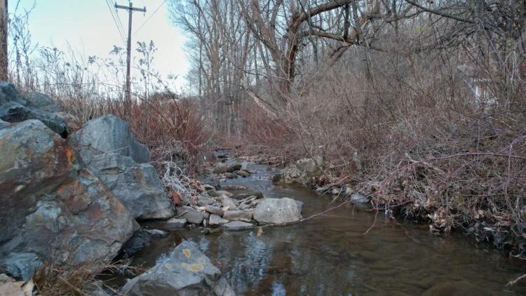 CARBONDALE, PA | 23 acres | Developer’s Special | All Utilities | Paved Road Frontage | Creek