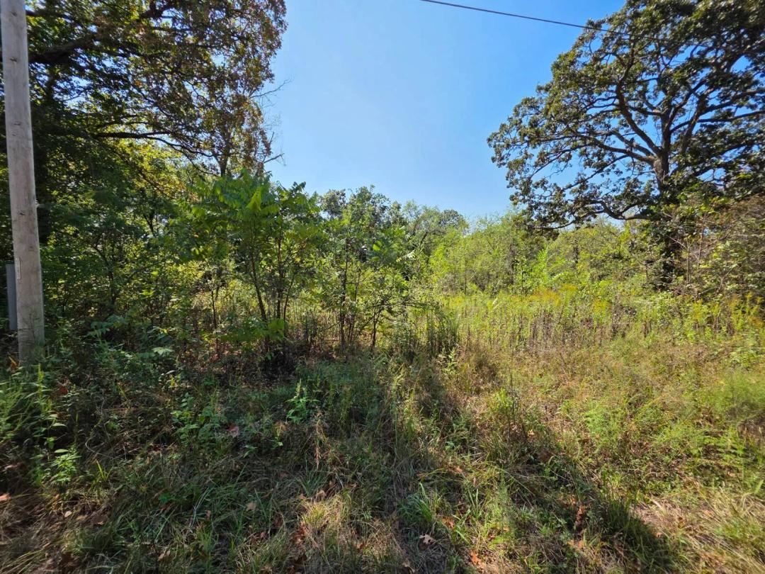 3 Lots Near the Osage River - Endless Possibilities!