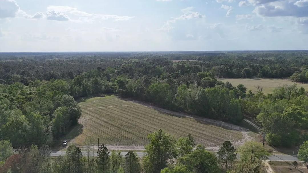 4.64 Acres - Tract 3 - Spring Branch Road in Appling County