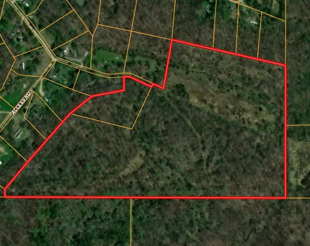 LAND FOR SALE | 49.69 +/- ACRES, | WOODED | SPRINGVILLE, INDIANA | GREENE COUNTY