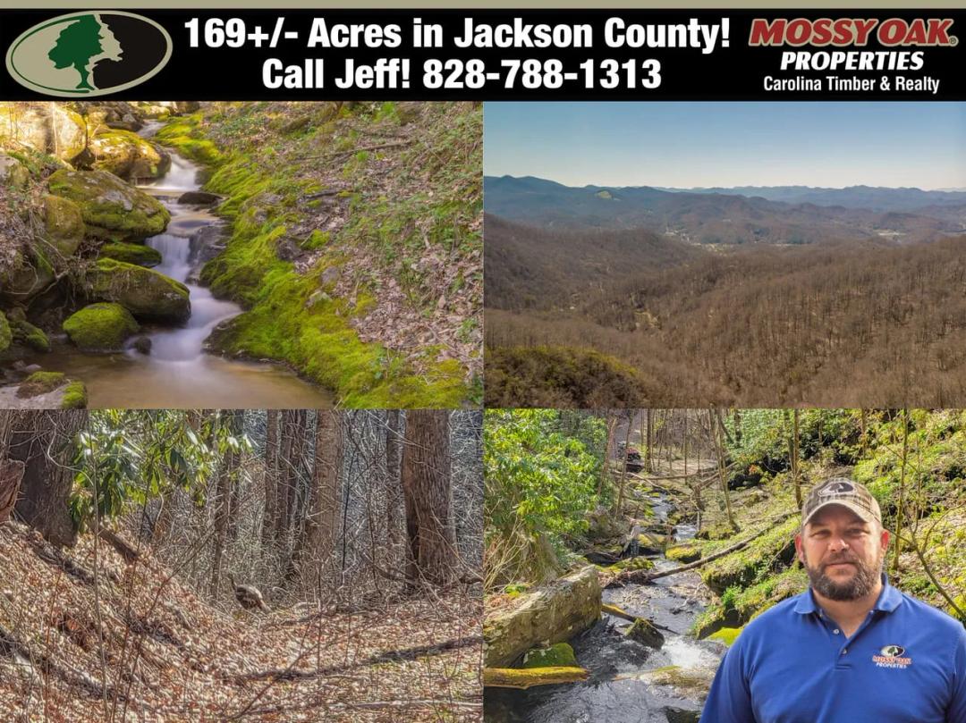 169+/- Acres - WATERFALL TRACT Bordering U.S. Forest Service!