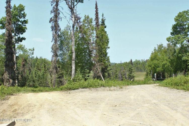 40 pristine off-grid acres with driveway and pad Nikiski