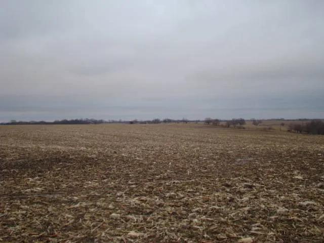 141.30 Acres at 0 Birch St and 180th