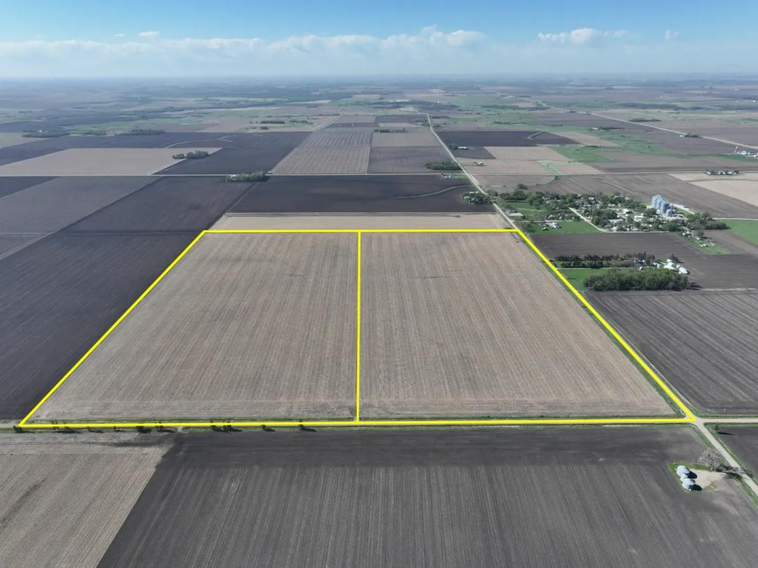 161.2 Acres Clay County - Offered in 2 Tracts