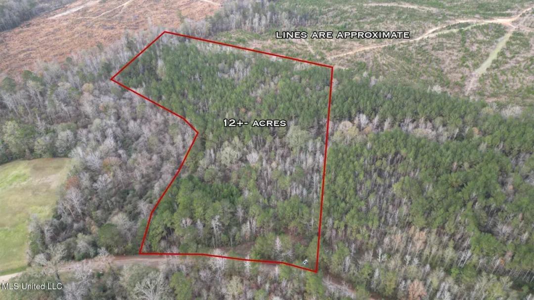 12± Acres in Wesson, Lincoln County, Mississippi