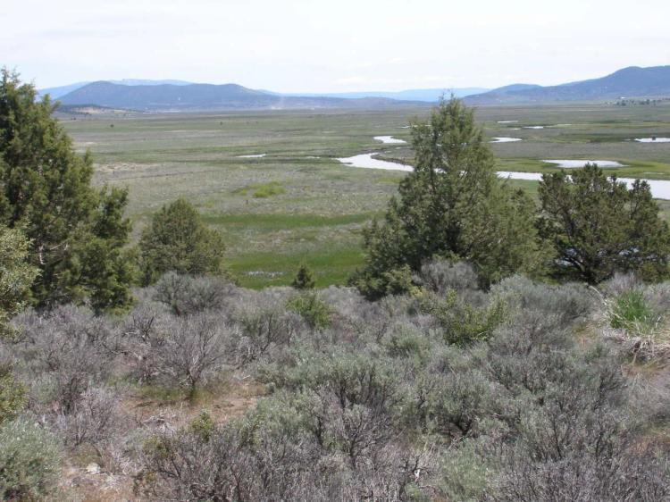 1 of a kind Parcel - On the Hill - Unobstructed Sprague River Views