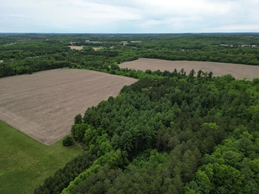 122+/- acre outdoor paradise in Waushara County WI