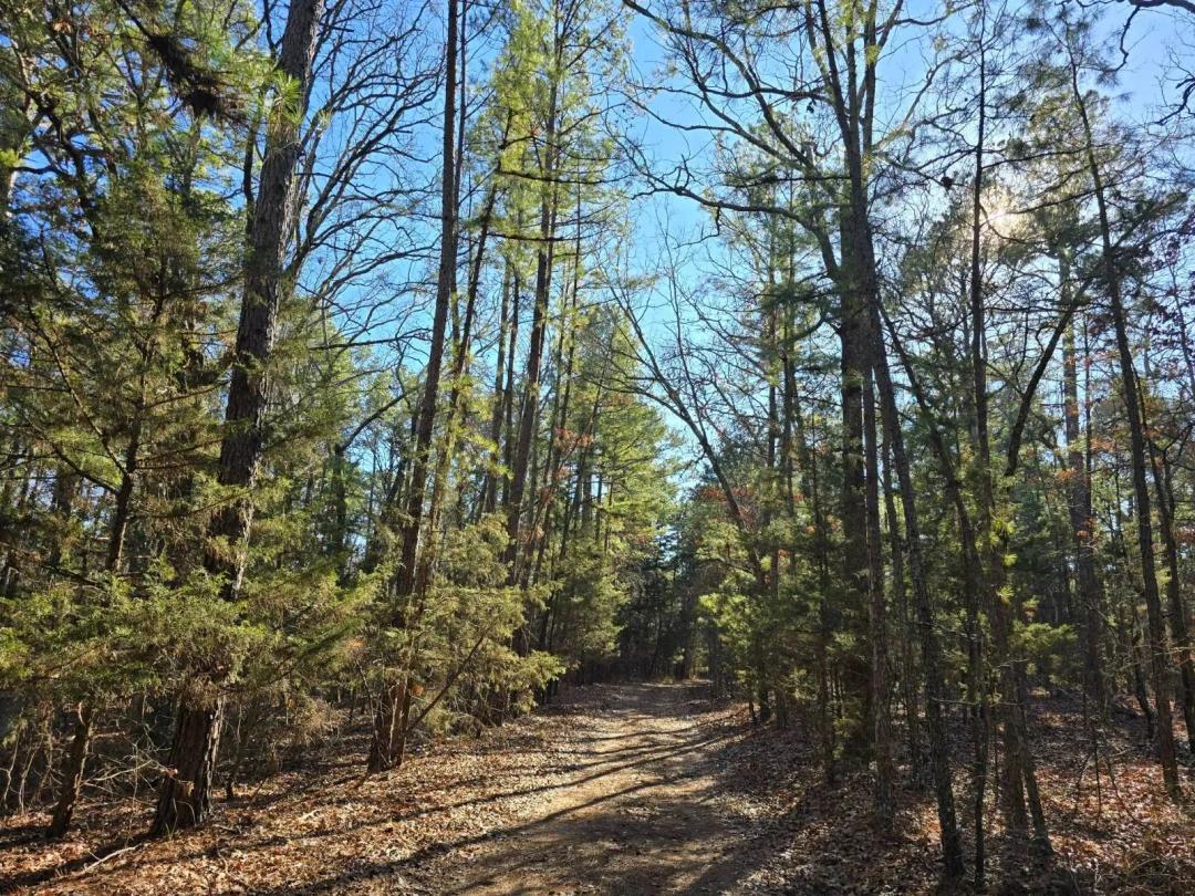 SHORTY CREEK 5 ACRES