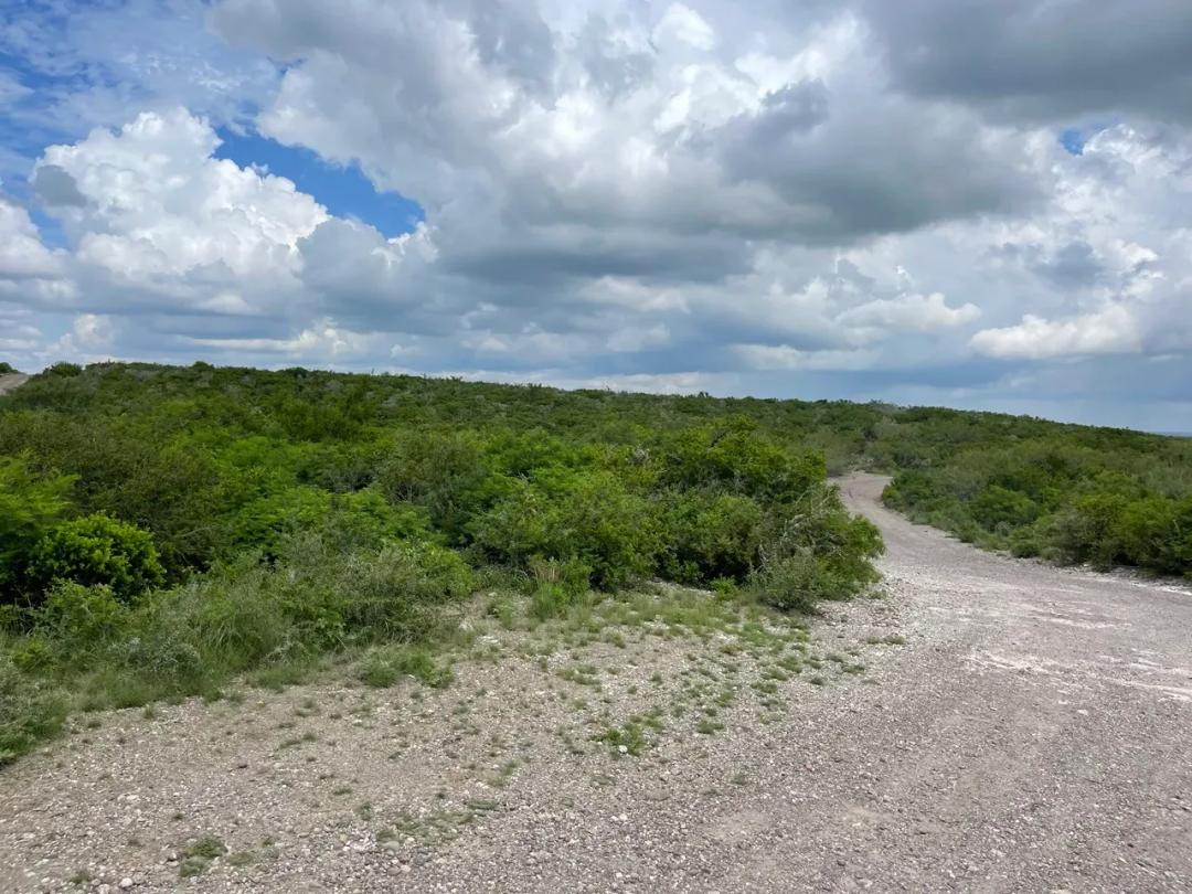14 Acres w/Electricity - 5% Down Owner Financing - Excellent Hunting - More Acreage Available