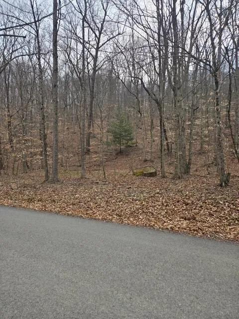 Close to town and convenient, country setting