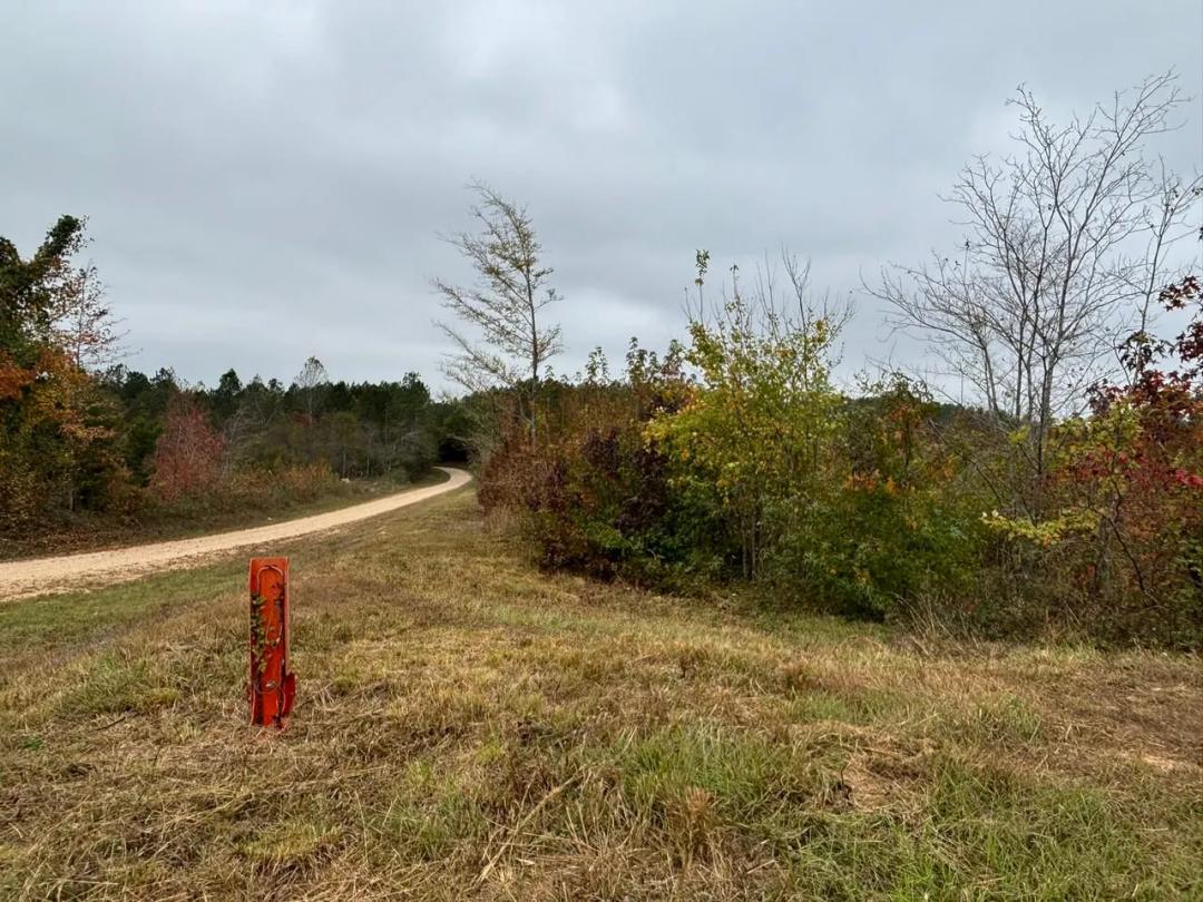 Diverse Land Opportunities – Up to 108+/- Acres Near Hamilton, AL
