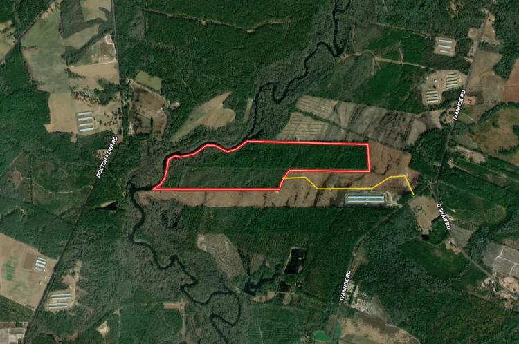 137.18 acres of Riverfront Timberland and Recreational Land For Sale in Sampson County NC!